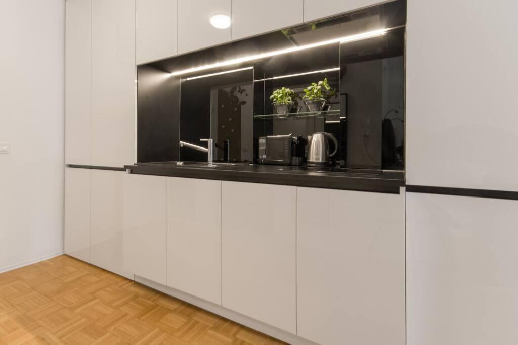 Gorgeous Central Flat With Garage Ljubljana Luaran gambar