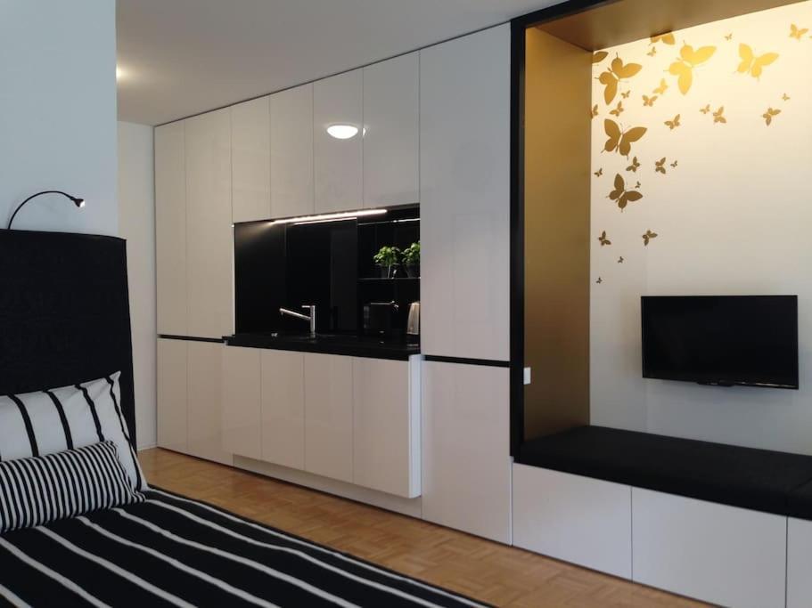 Gorgeous Central Flat With Garage Ljubljana Luaran gambar